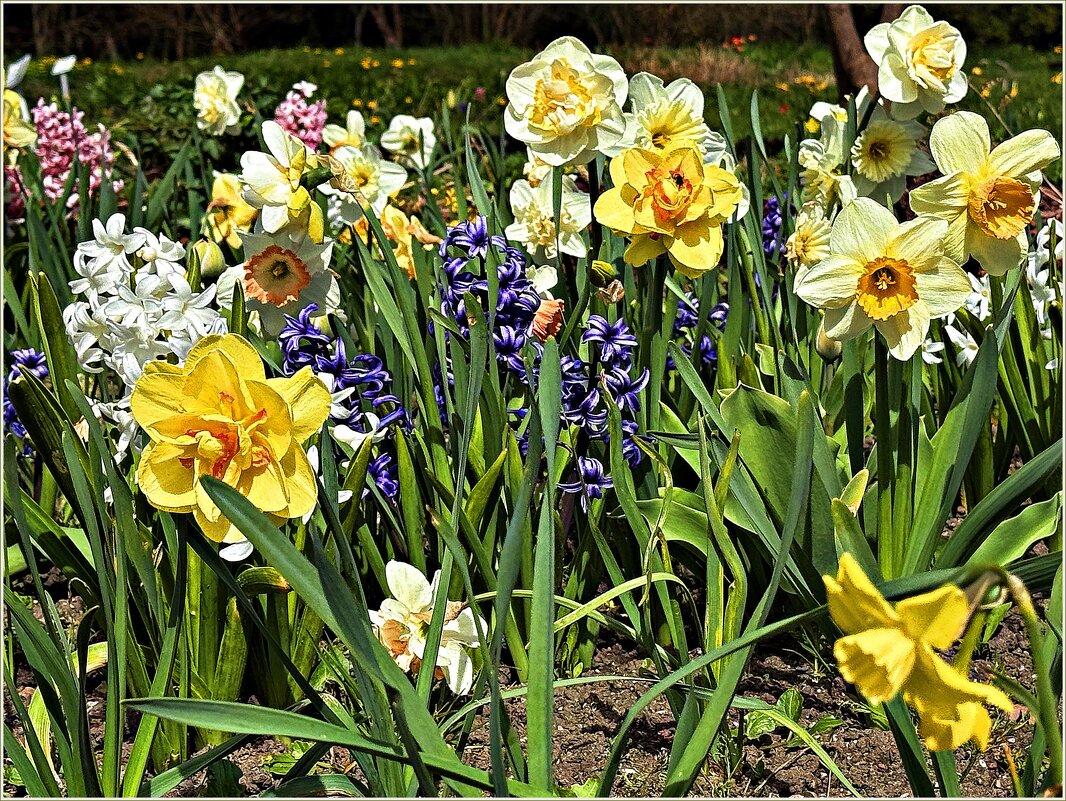 ****** - Валерия Комова