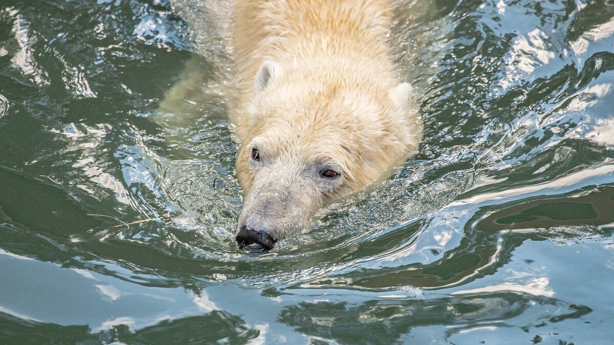 на воде - Аркадий Лаптенко