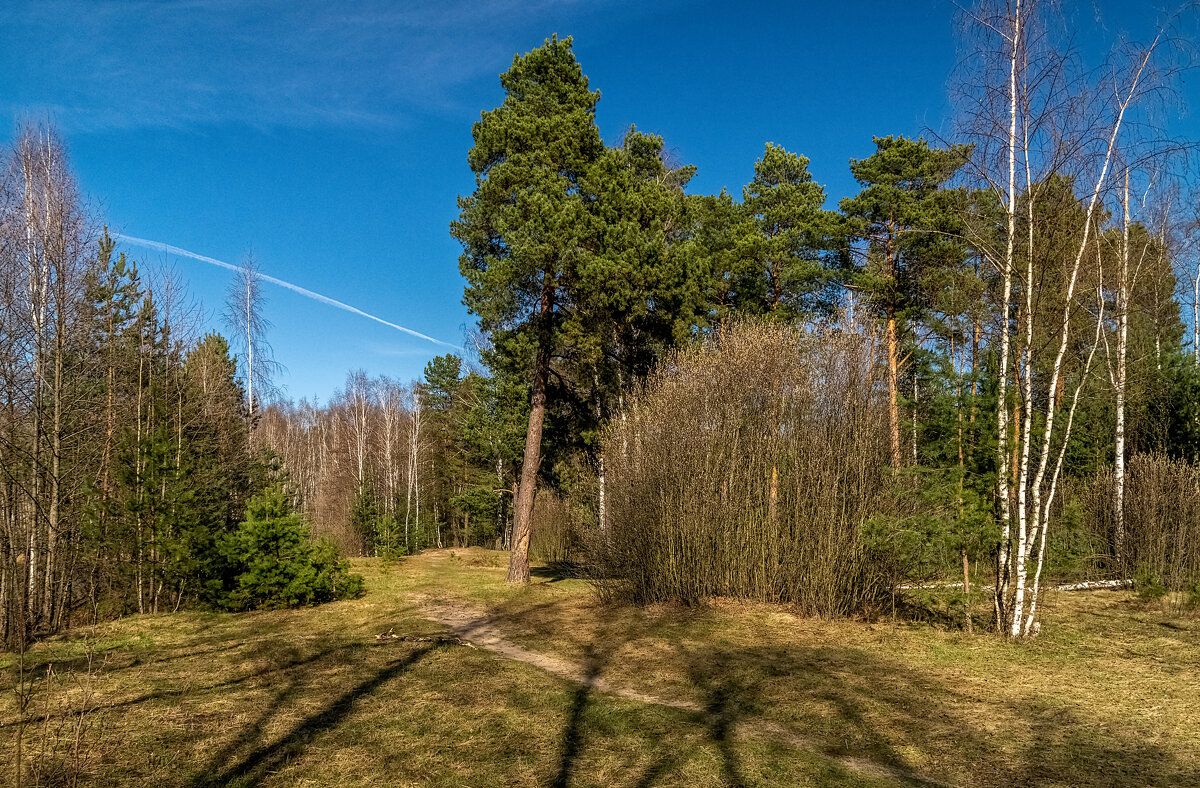 Весна, Весна, Весна 4 - Андрей Дворников