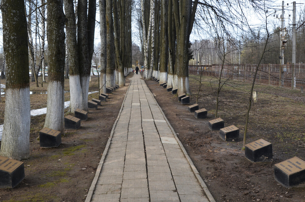 Московская область. Ашукино. Аллея памяти в честь бойцов Софринской бригады. - Наташа *****