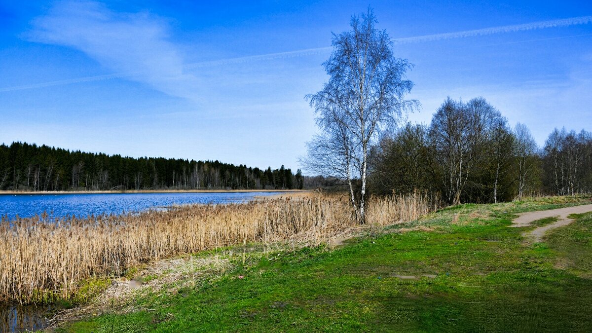 Весна в конце апреля. - Милешкин Владимир Алексеевич 
