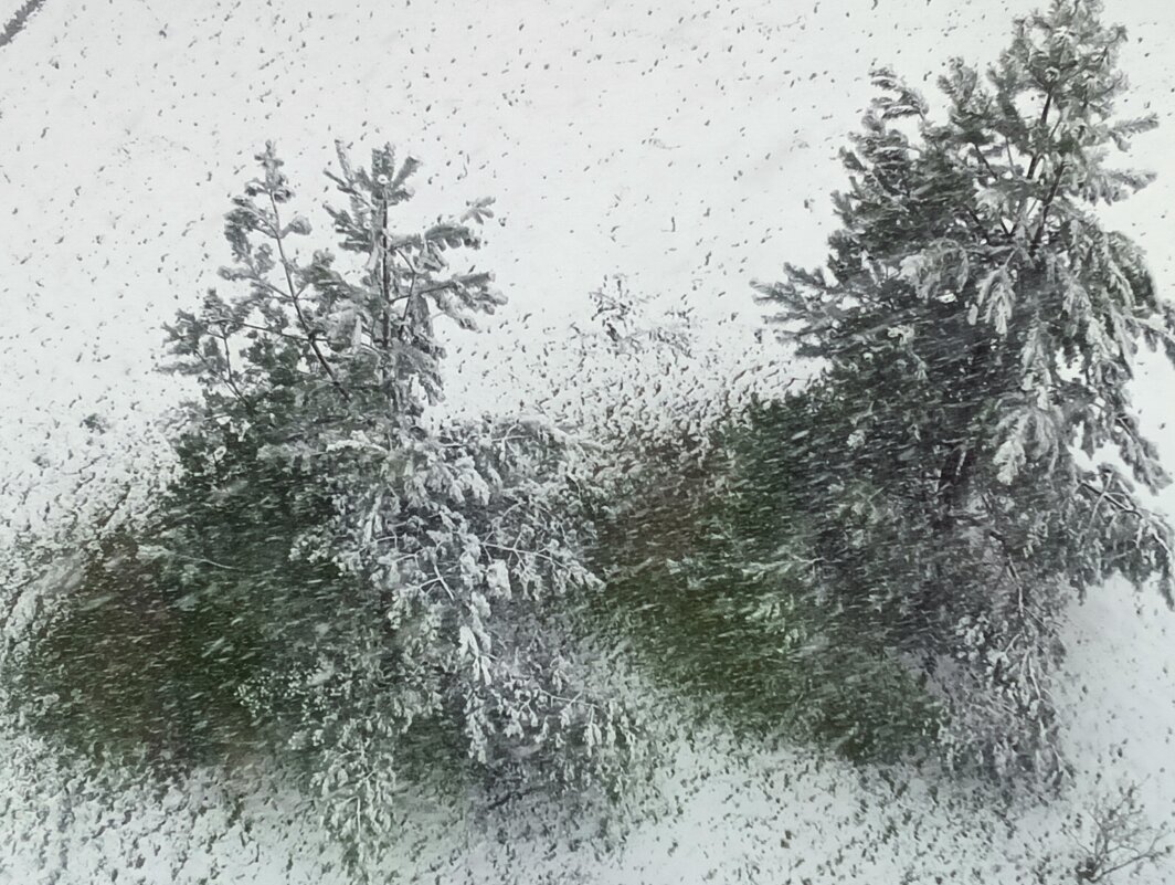 снежный апрель - Владимир 