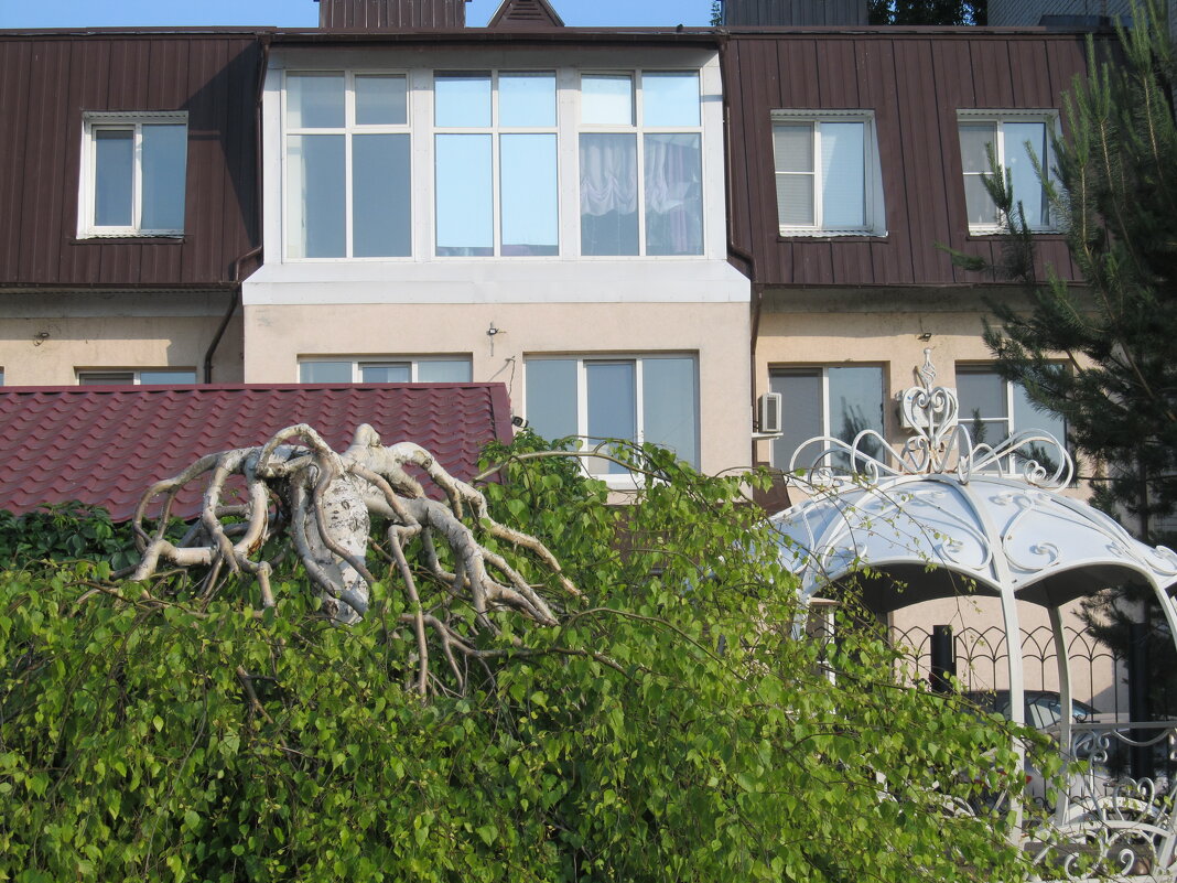 зарисовка - Елена Шаламова