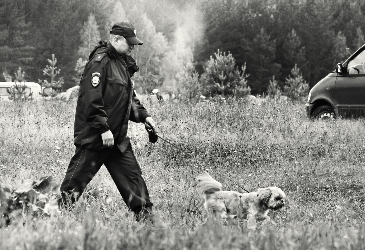 По слелу... - СЮ 