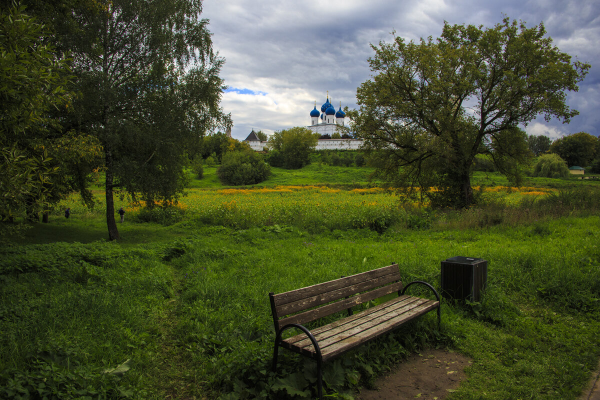 Старый  Серпухов - Владимир Гришин
