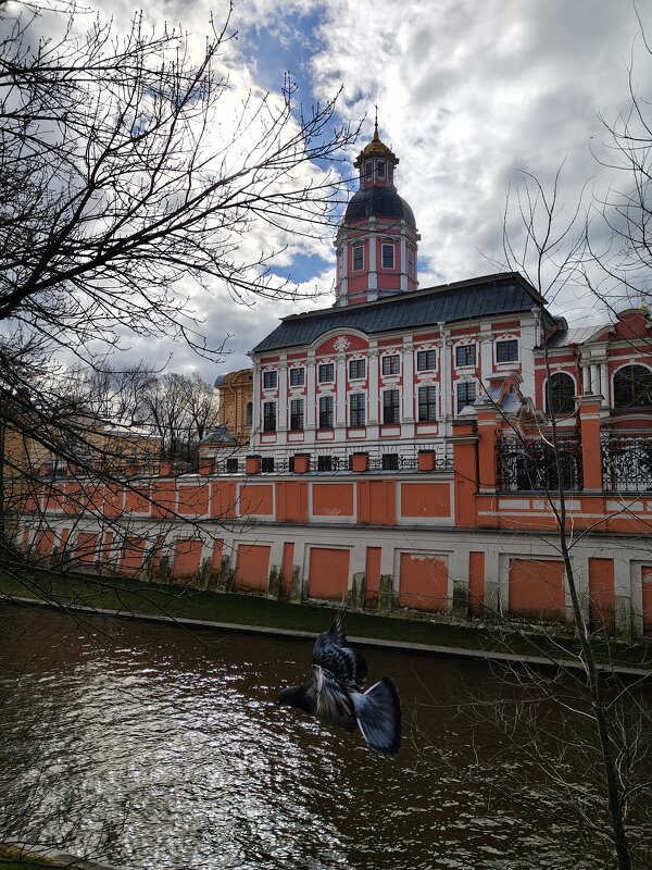 Александра Невская Лавра - Андрей 
