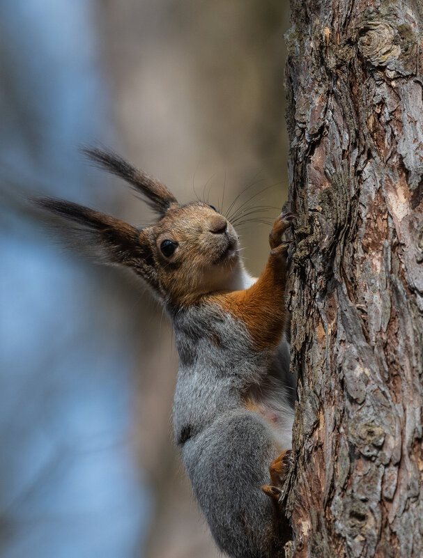 .... - Павел Катков