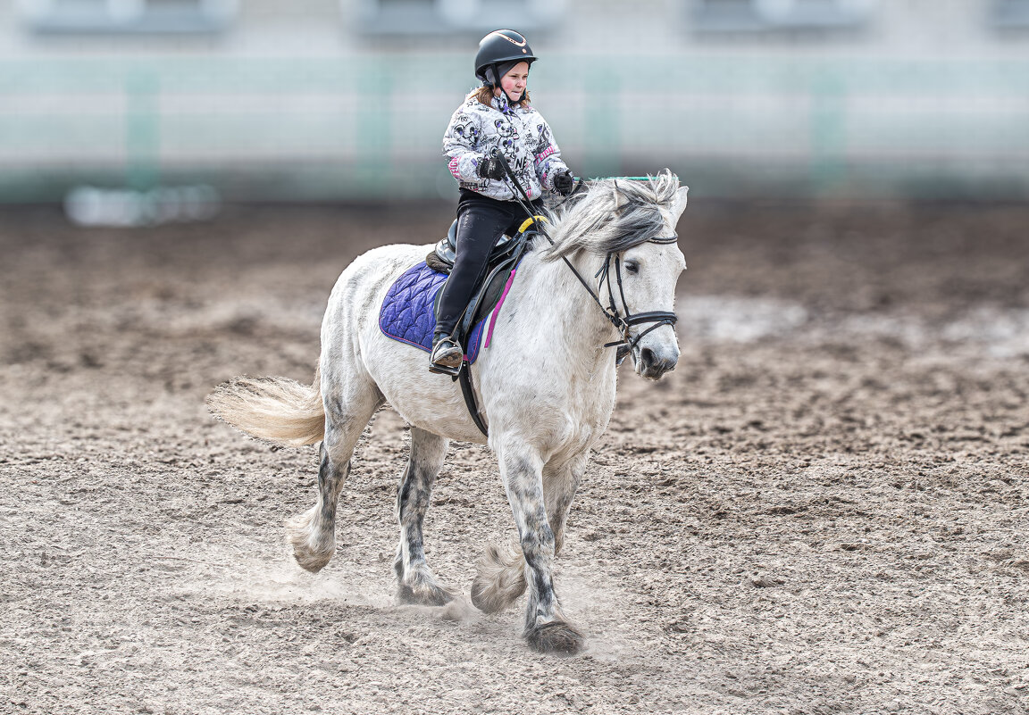Девочка на лошади - Михаил Измайлов