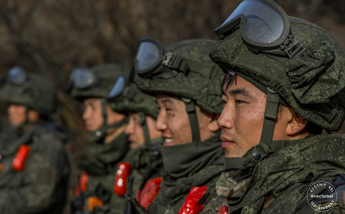 Союзники - Евгений Кель