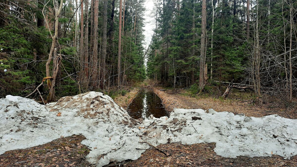Зимы остатки. - веселов михаил 
