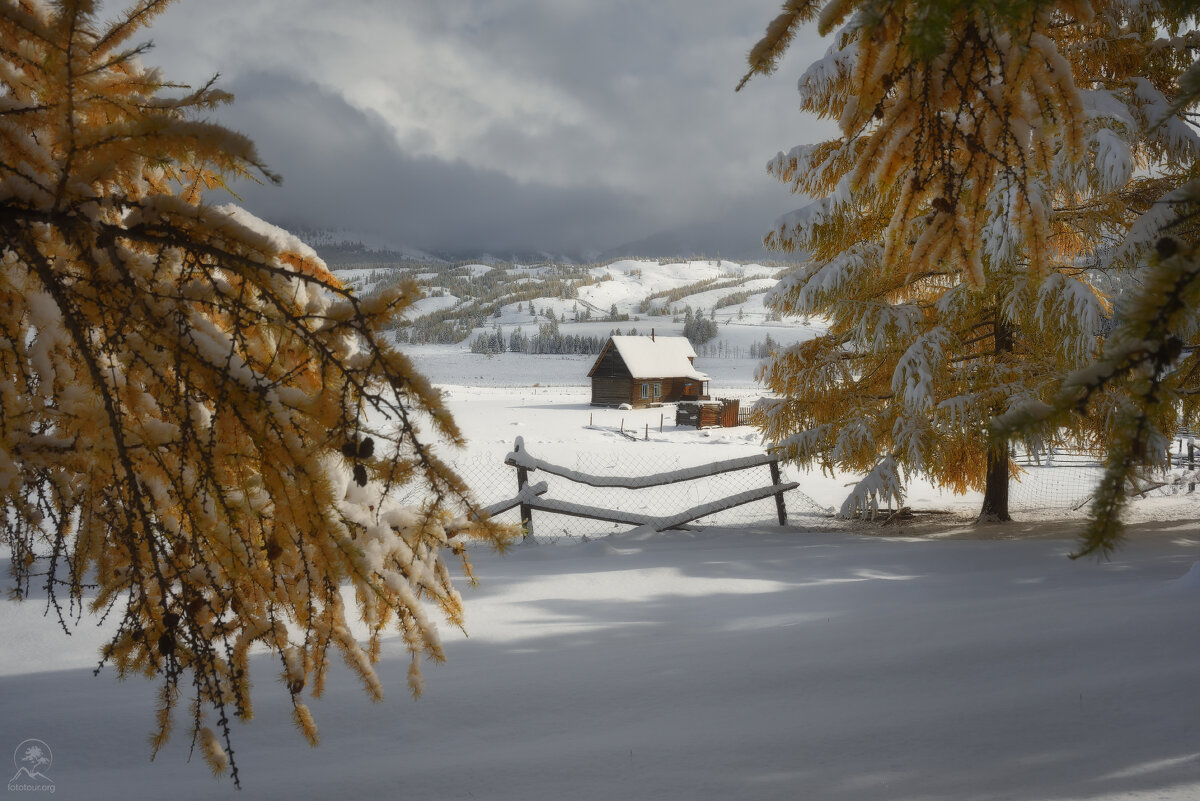 Старт зимы - Анатолий Гордиенко