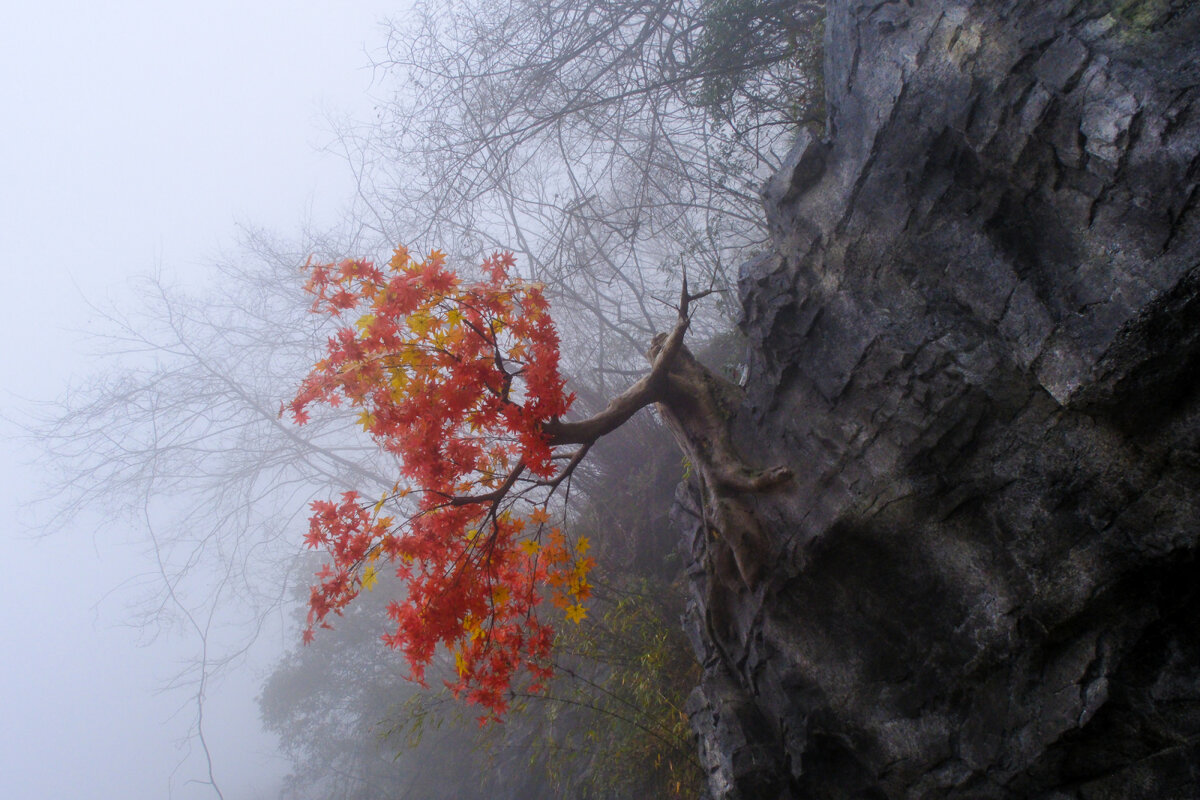 Удивительная краска в снежной горы - Георгий А