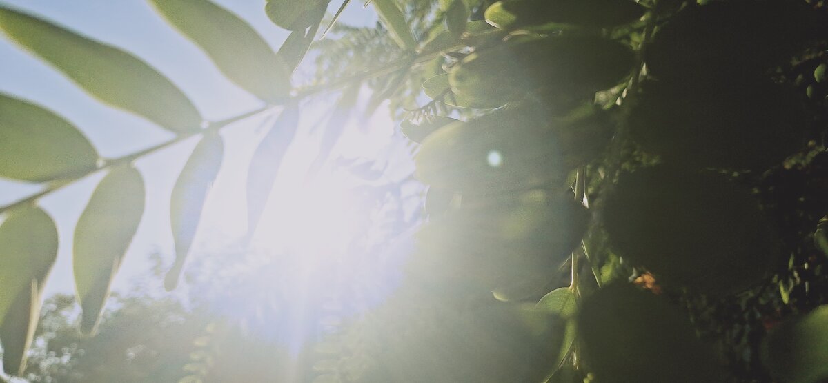 14  КЛОС (148) - CLOSE WAYS ALL