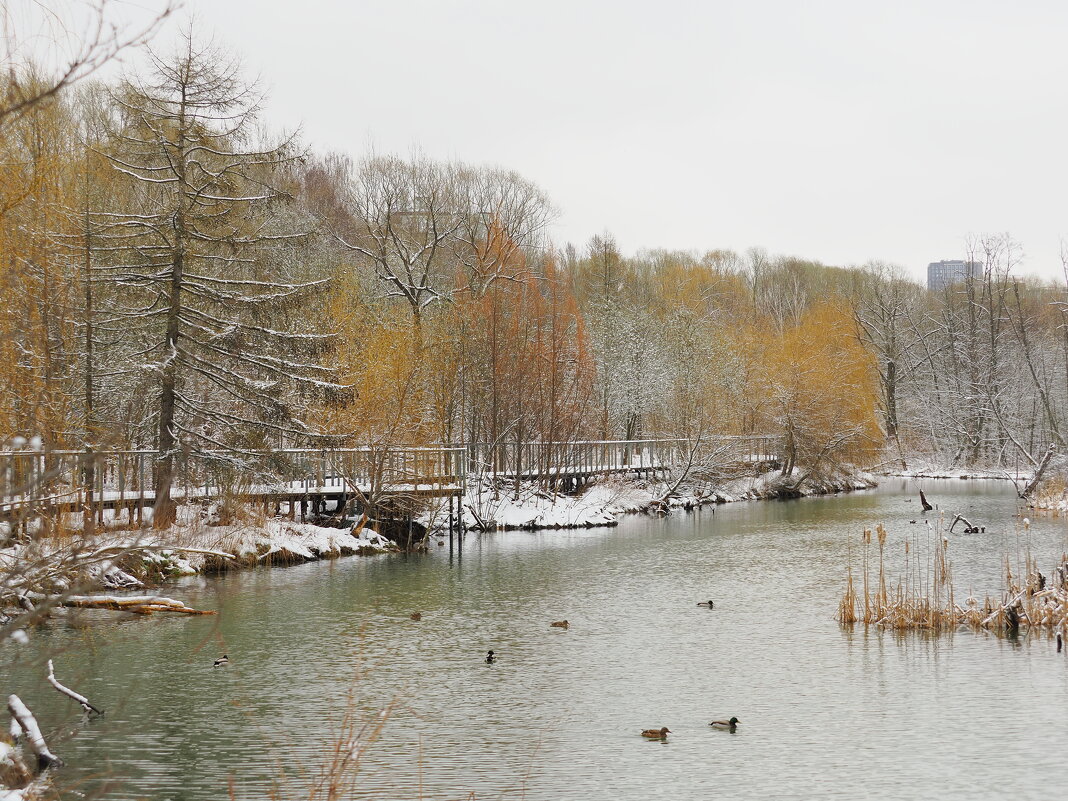 Возвращение зимы - Евгений Седов