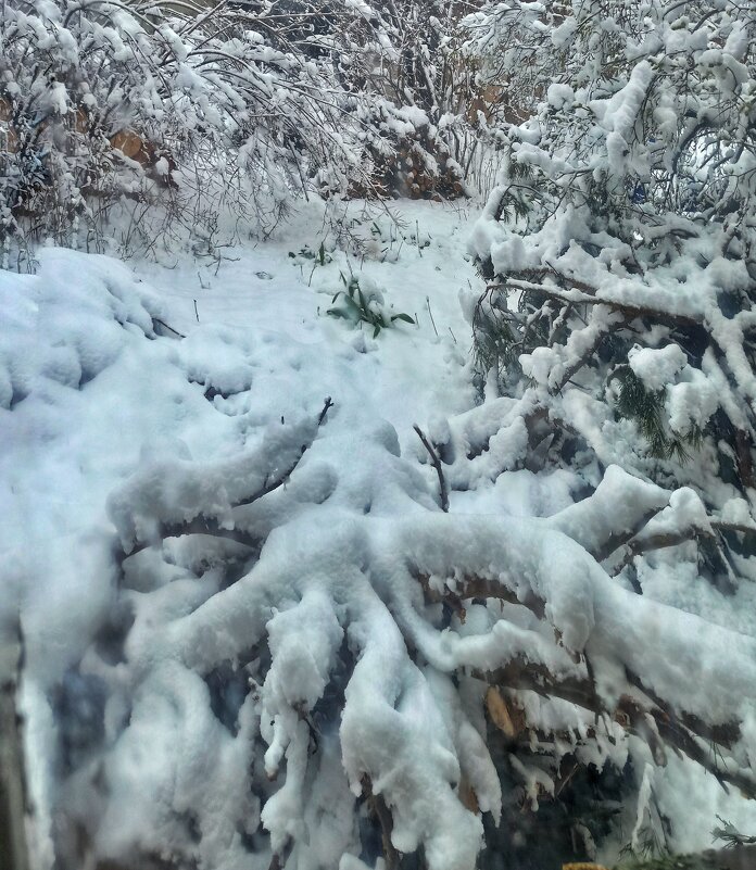 "Тепло уже не за горами! " - veilins veilins