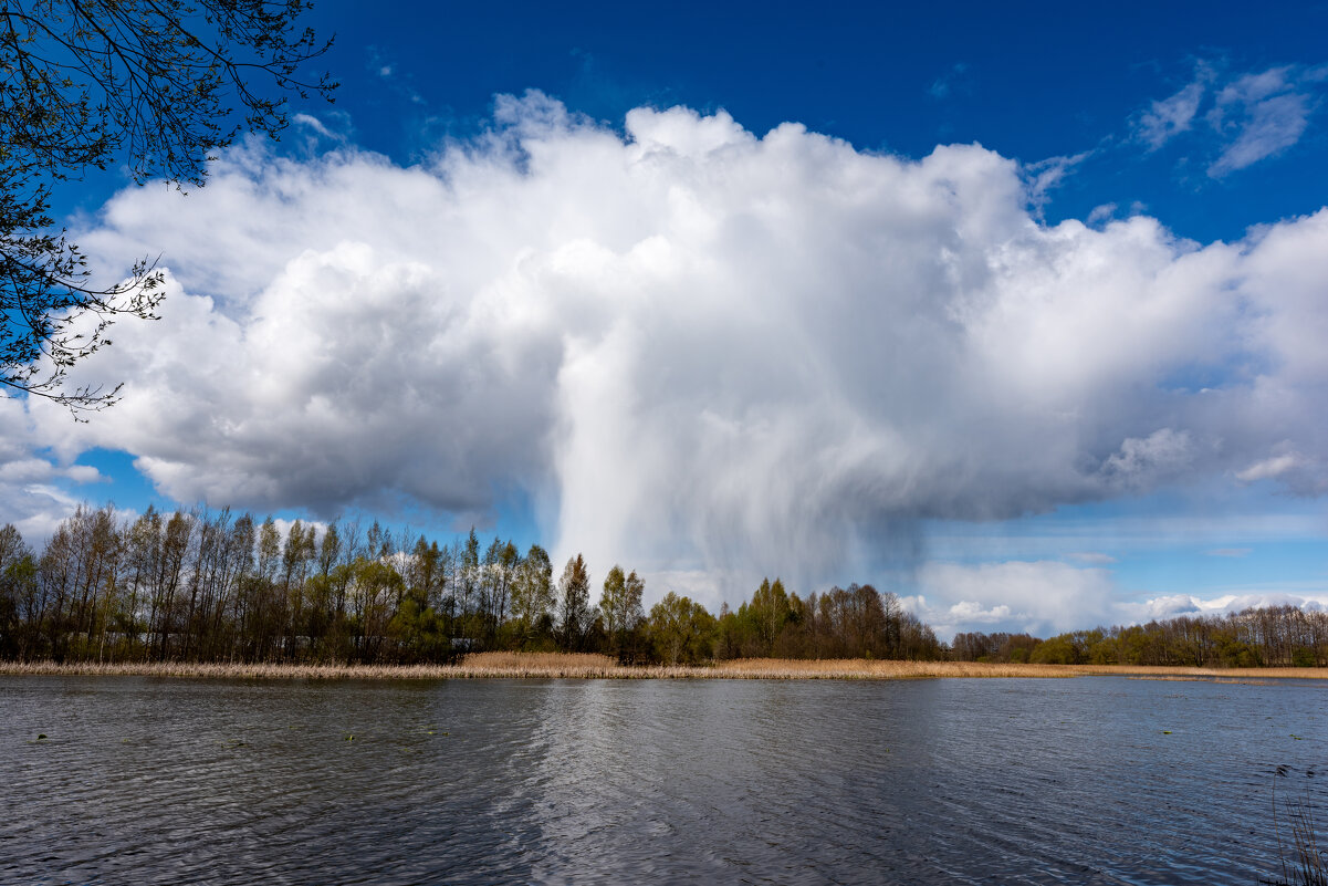 Небесный гриб - Александр Мезенцев