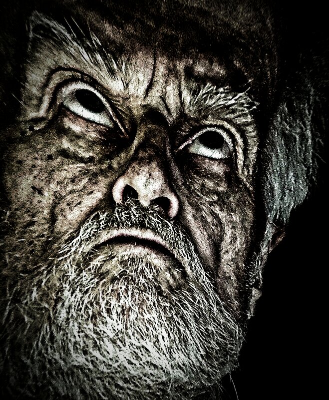 "Домовой". - Журавлев Владимир 