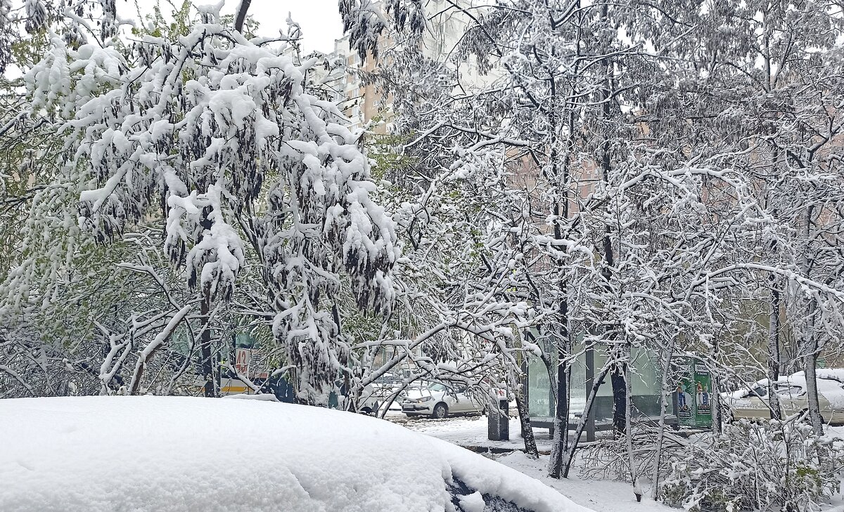 Апрельский снег - Татьяна Тюменка