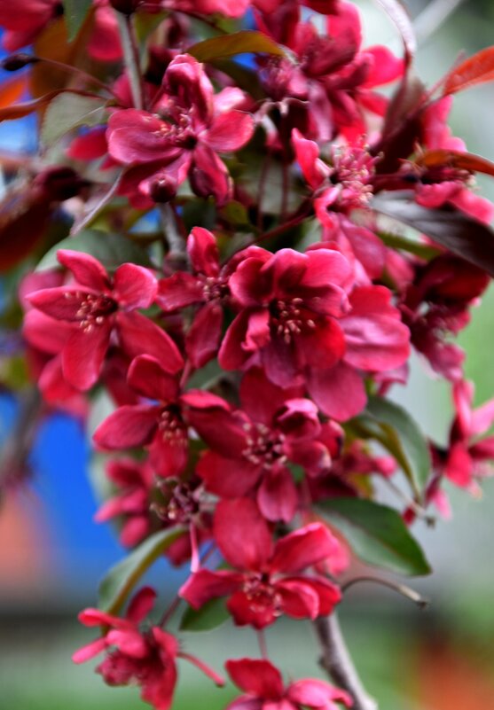 *** - Павленко Михаил 