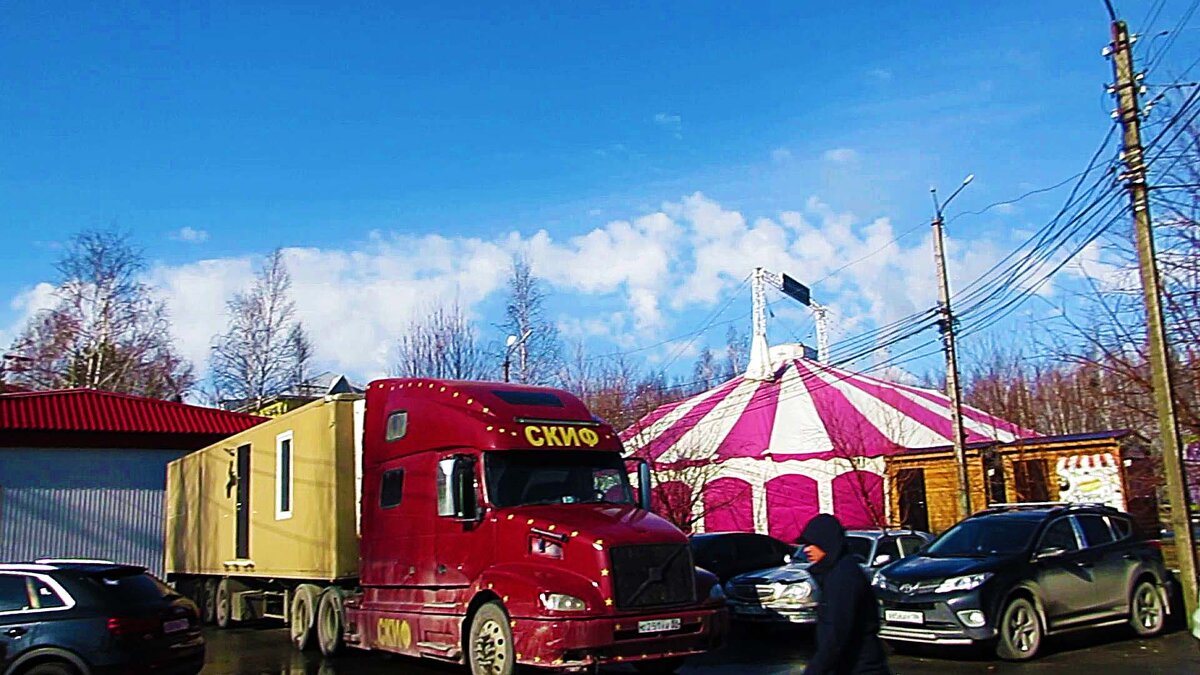 Апрель...Цирк приехал! - Владимир 