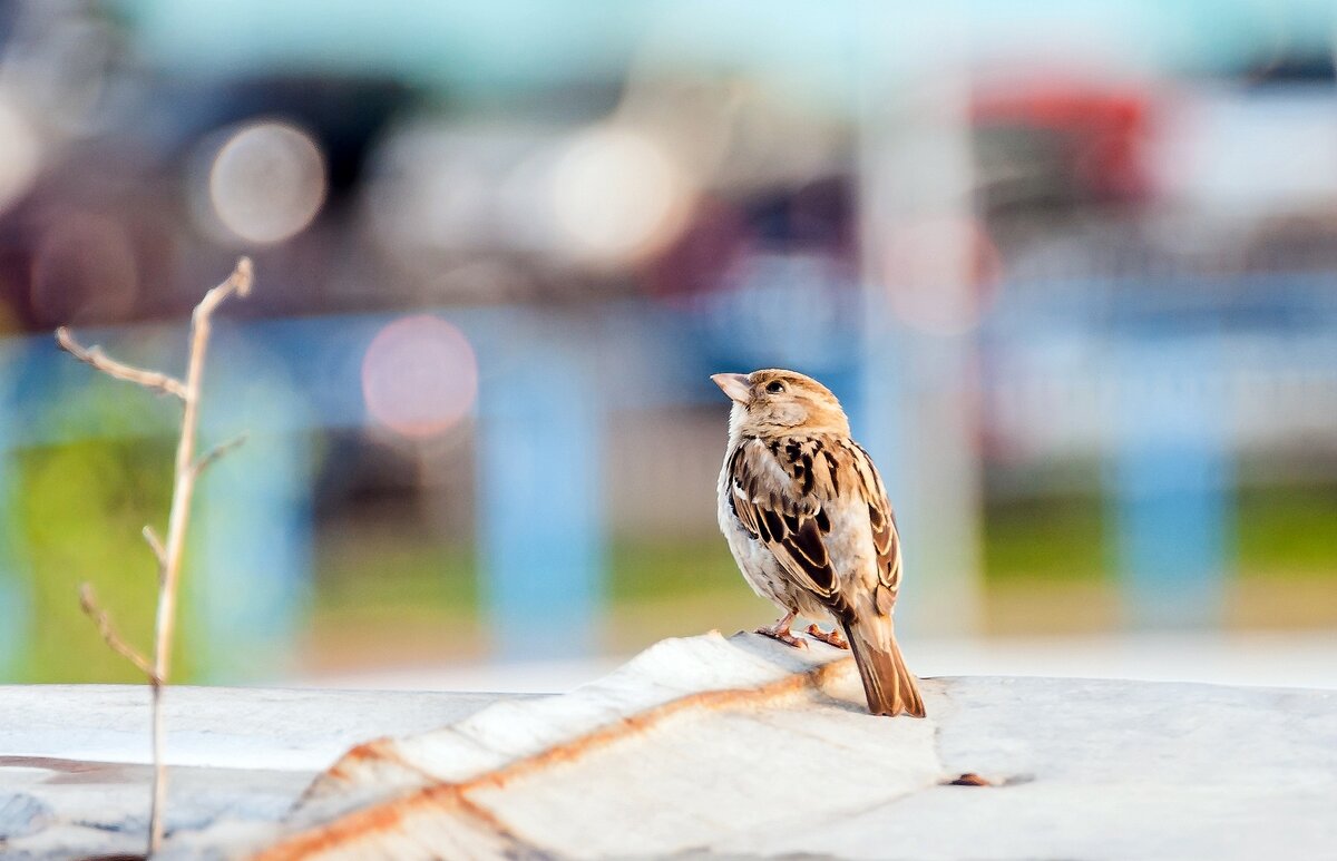 Мечты о космосе - Валерий Иванович