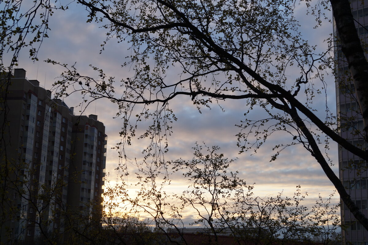 Утро 29.04.2026 - Anna-Sabina Anna-Sabina