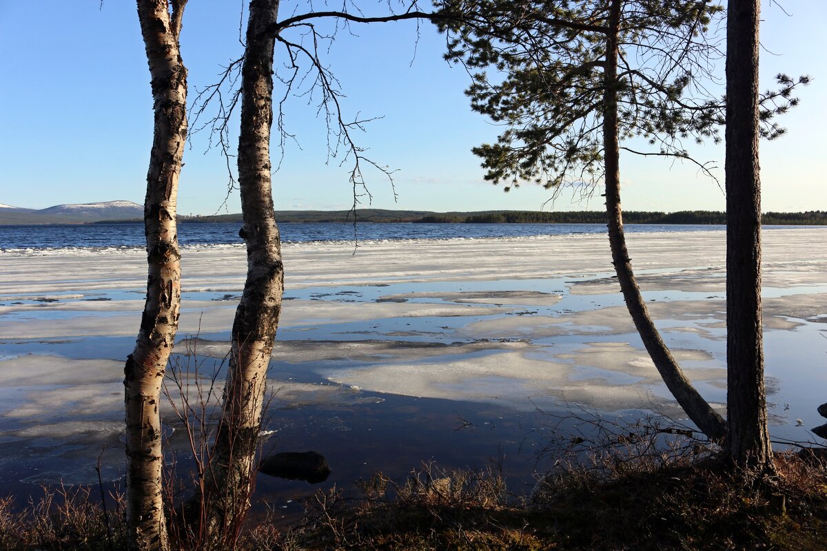 Весна - Ольга 