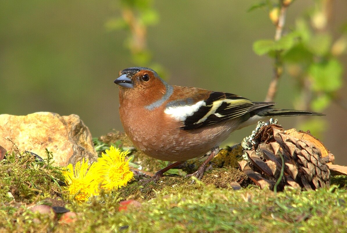 ... - Вячеслав Минаев