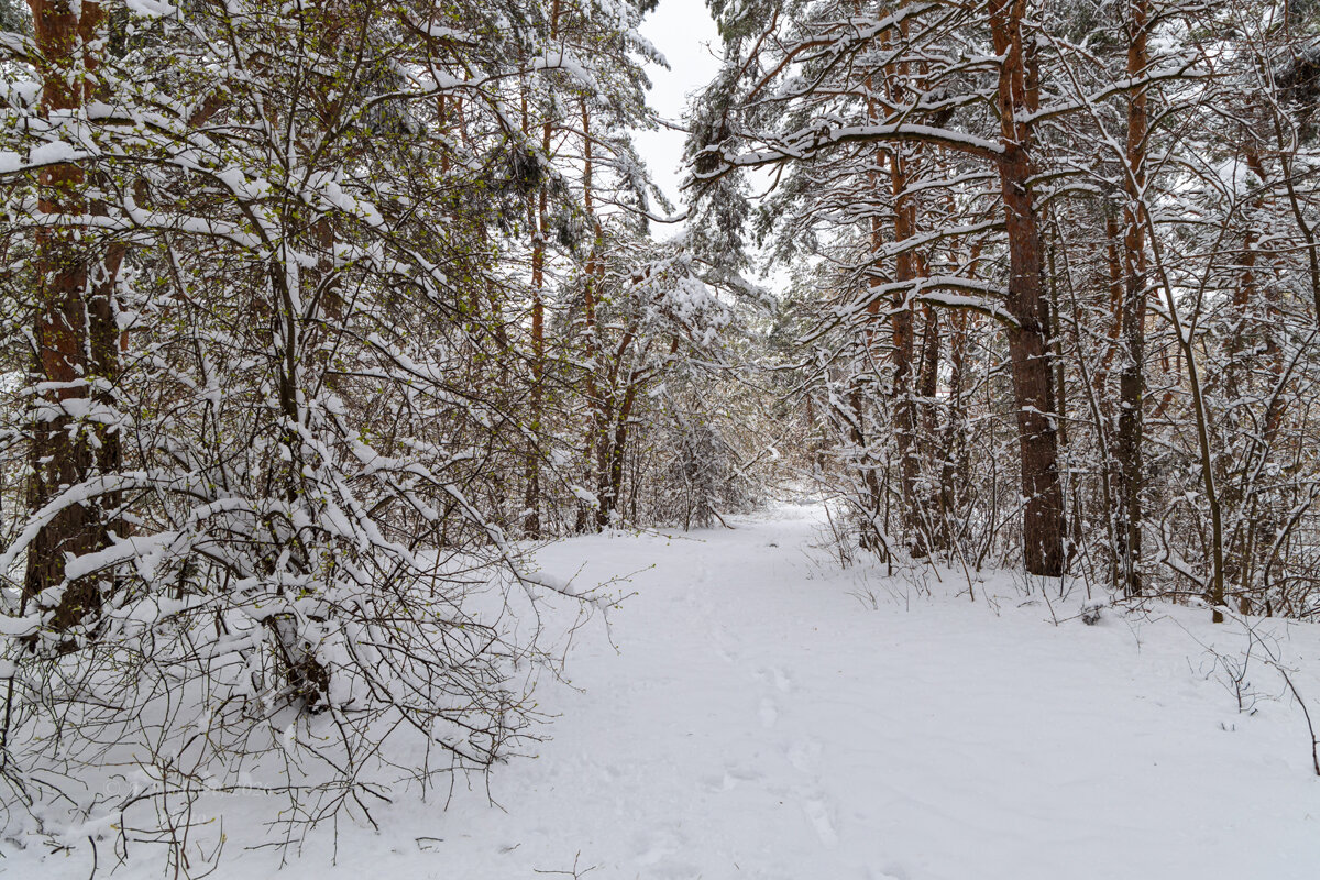 Весна после снегопад - Александр Синдерёв