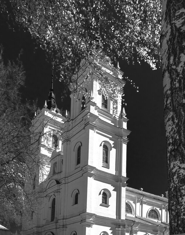 *** - Николай 