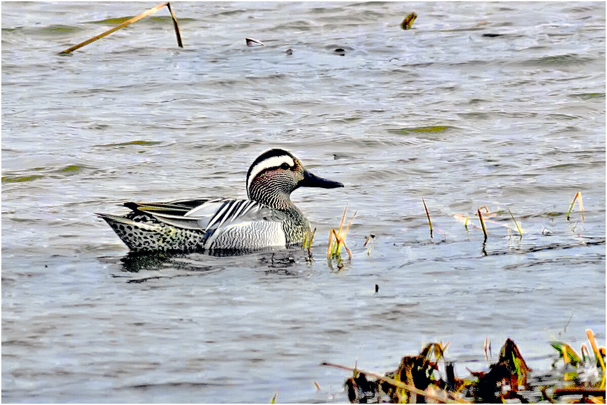 Чирок-трескунок - Валентин Котляров