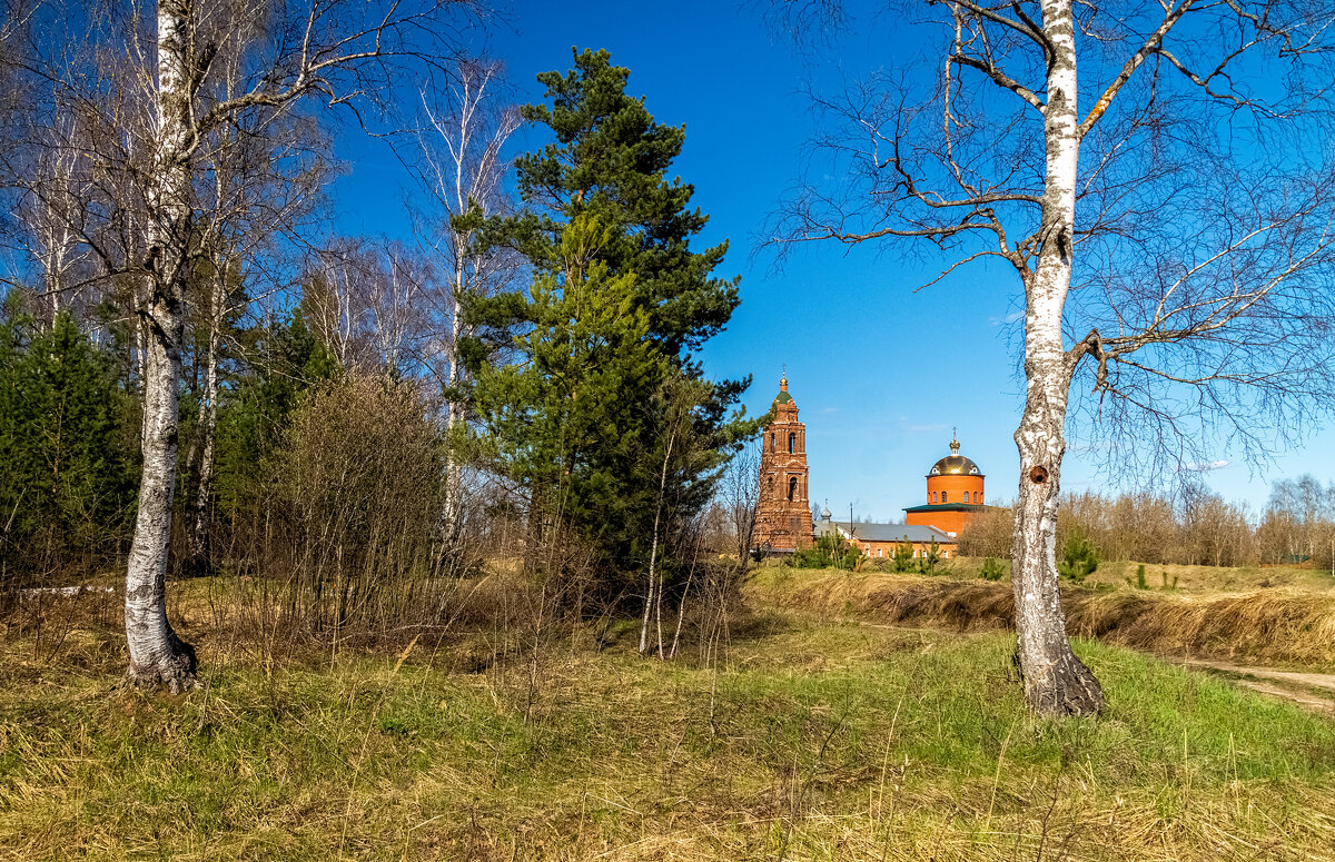 Весна, Весна, Весна 5 - Андрей Дворников