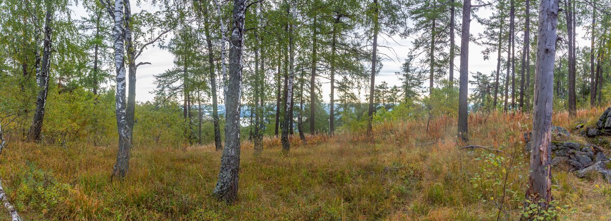Начало Сентября на перевале (панорама). - Алексей Трухин