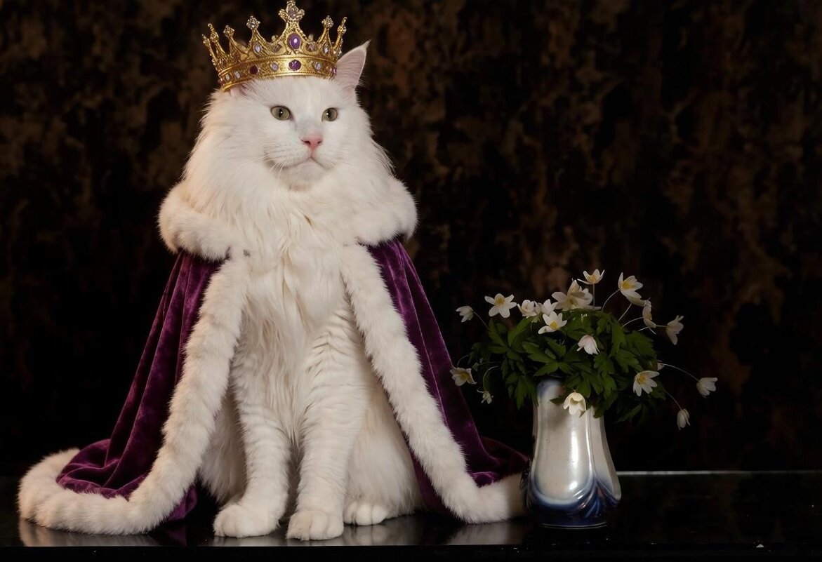 Его Высочество сир Муристан - Ольга Зинченко