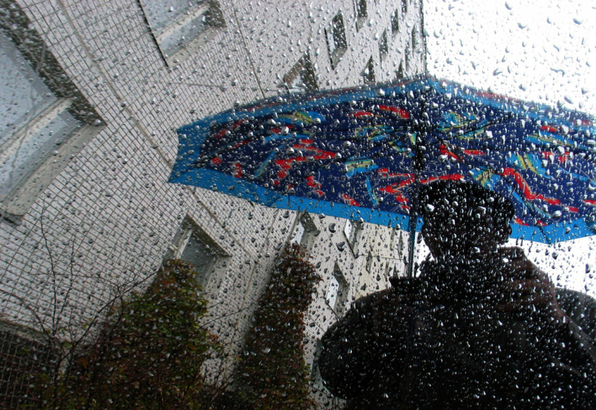 У природы  нет плохой погоды. - Владимир Гришин