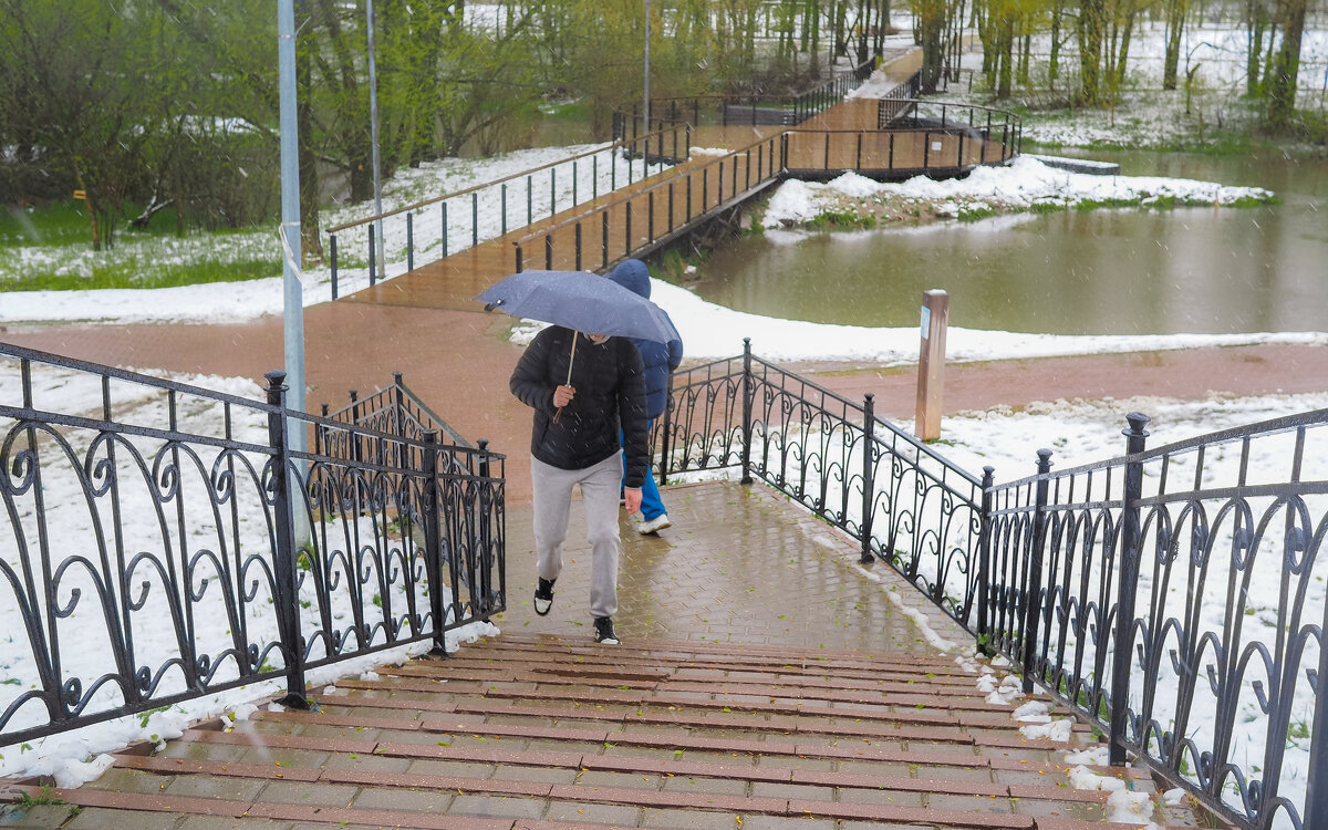 Непогода в Городе - юрий поляков