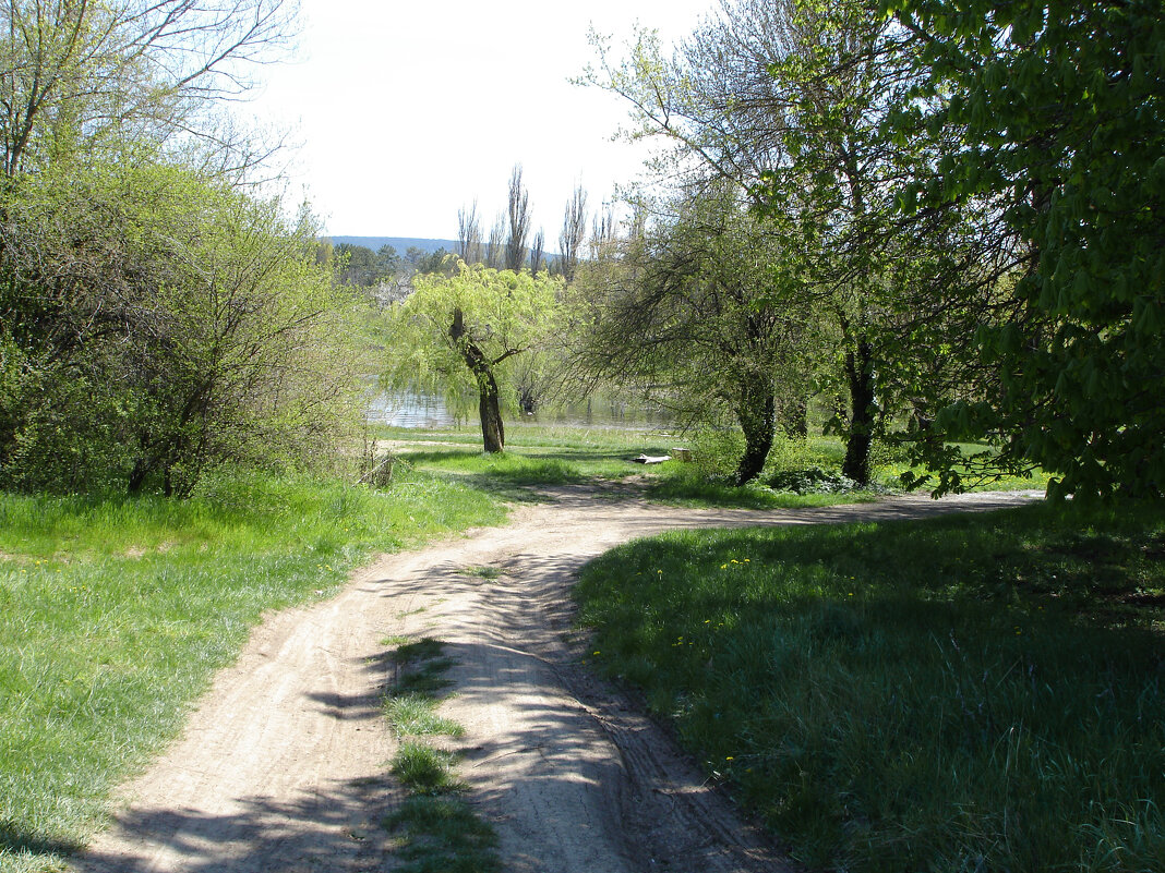 Весенний  пейзаж - Валентин Семчишин