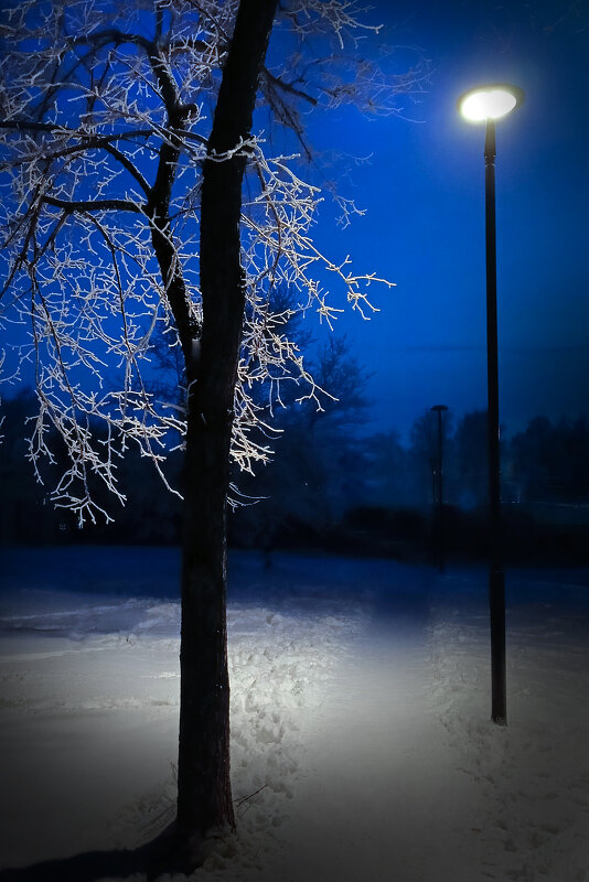 Зима - Константин Ощепков