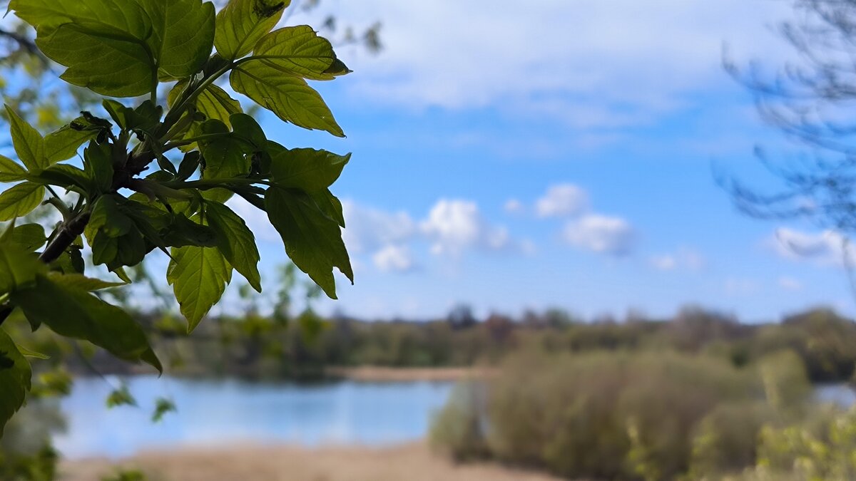 Озеро Бабичев. Стародуб. - Ольга 