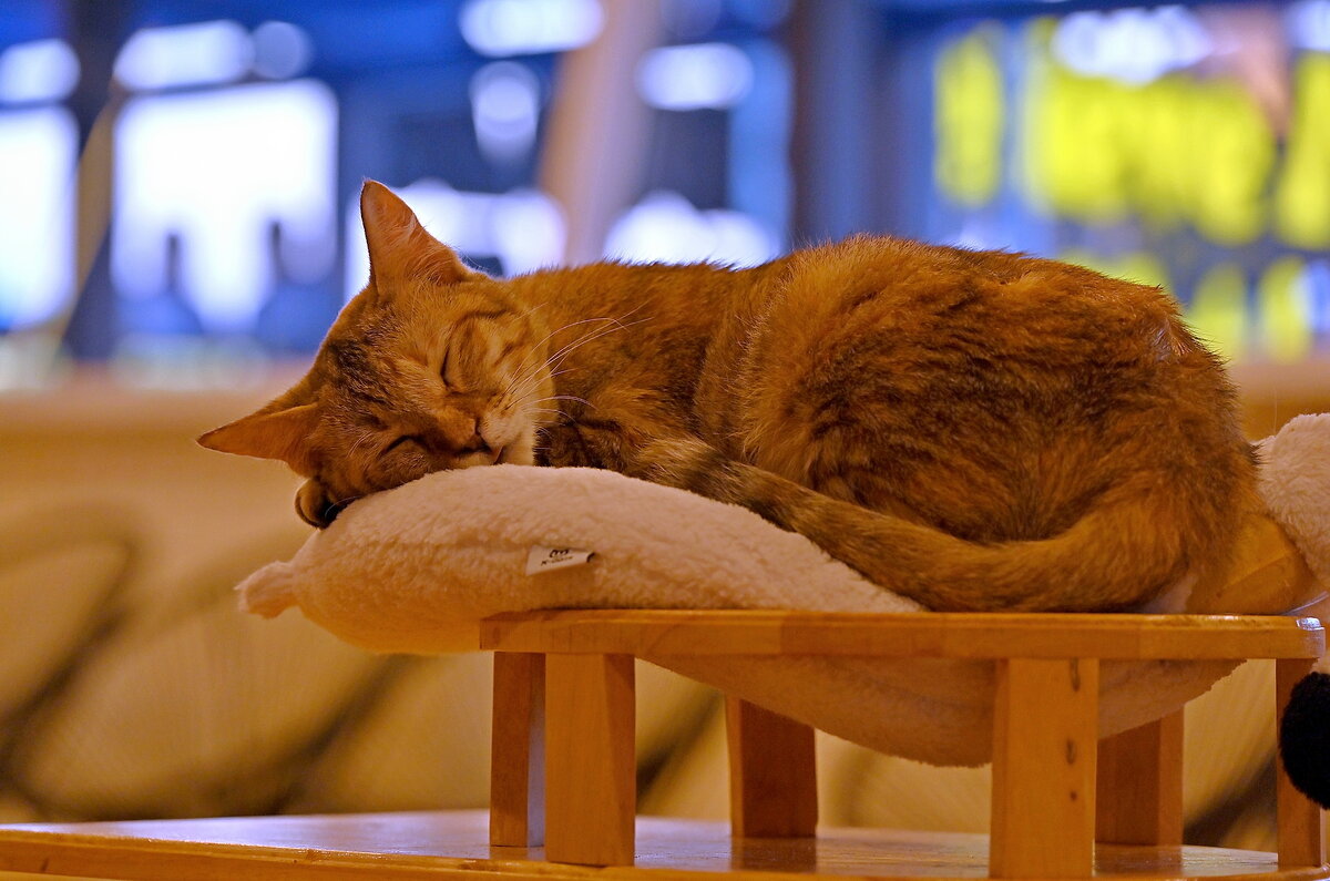 Тёплое тепло )) - Владимир Куликов