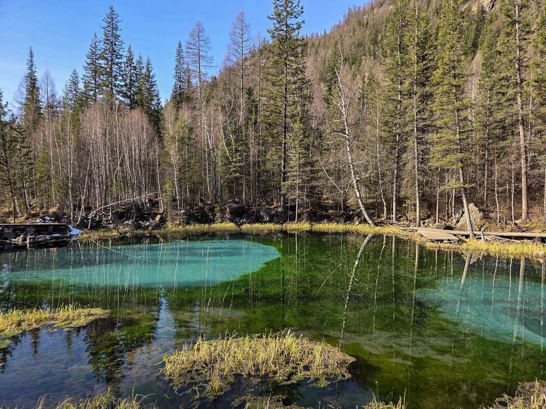 Гейзерное озеро. Алтай. - Алексей Пышненко
