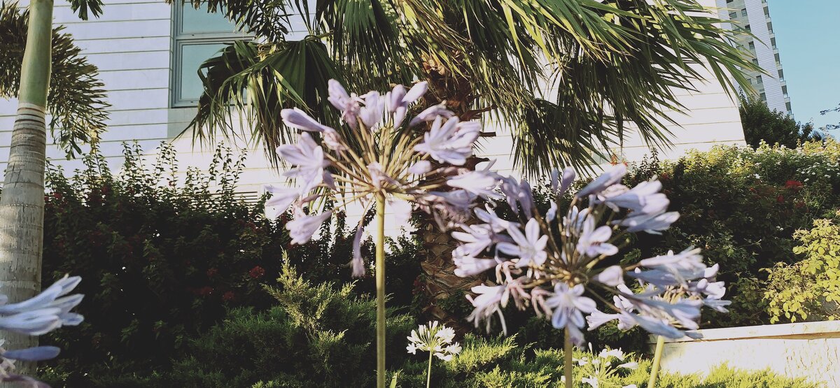 14  КЛОС (149) - CLOSE WAYS ALL