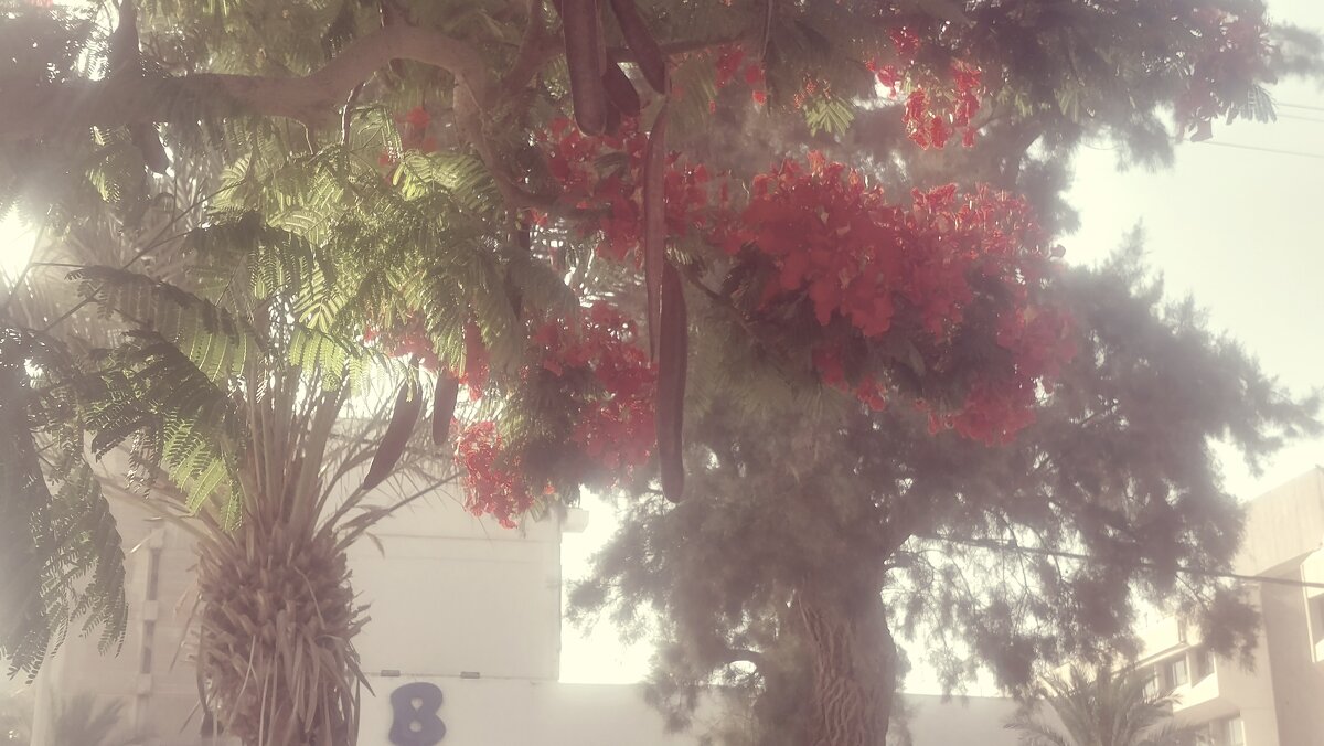 14  КЛОС (152) - CLOSE WAYS ALL