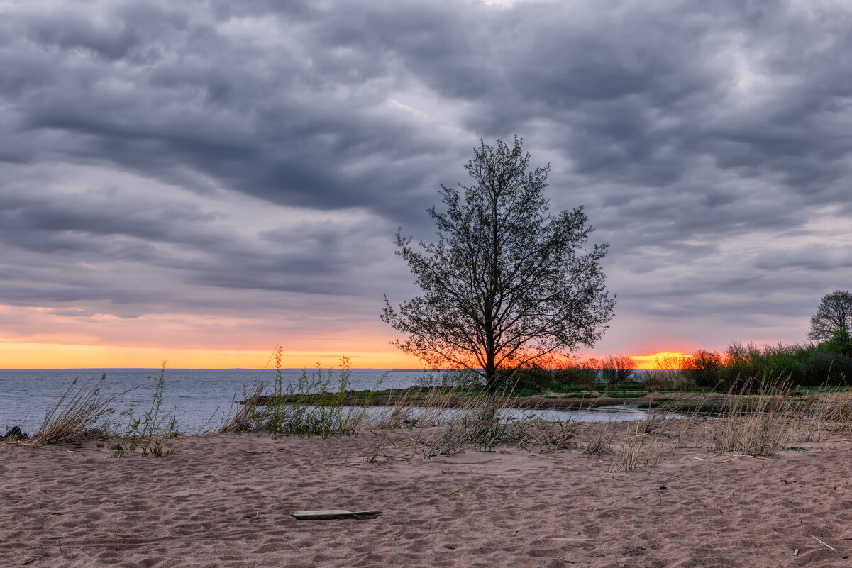 Про Питер - Владимир Колесников