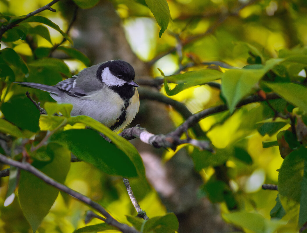 Без слов...просто... - Игорь Протасов
