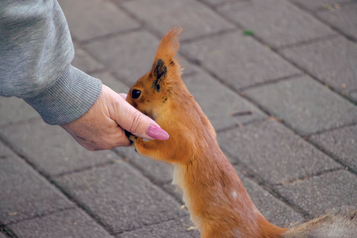 Что у тебя вкусненького?.. - Игорь Протасов