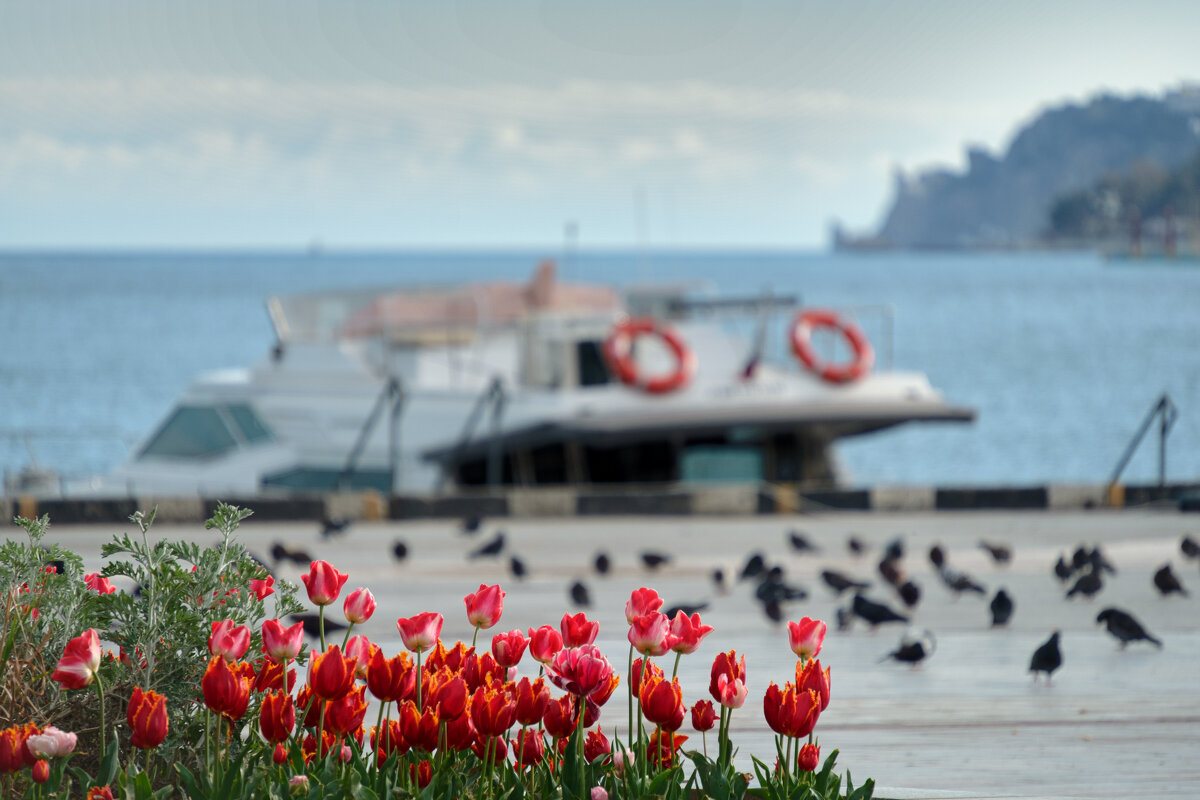 пастель - Всеволод 