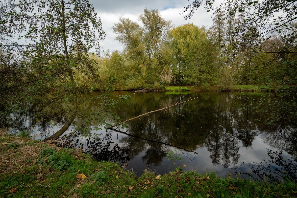 *** - Николай Гирш