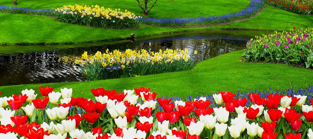 Королевство цветов(серия( - Владимир Манкер