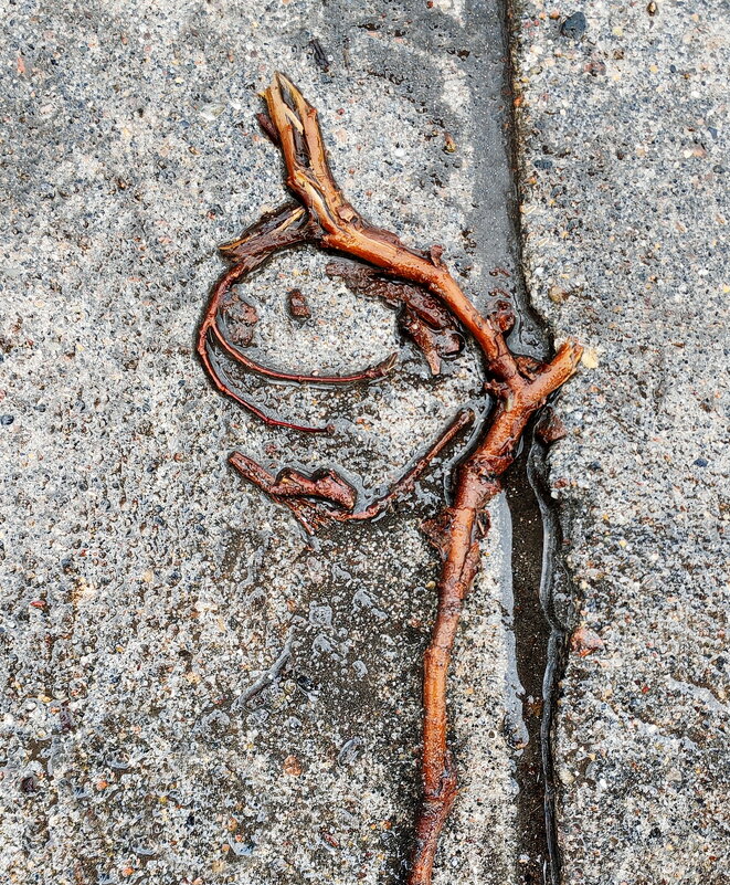 КОМУ КАК ДЛЯ КОГО КТО - Юрий Вовк